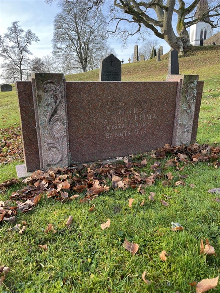 Grave number: Ärt 04 03    95