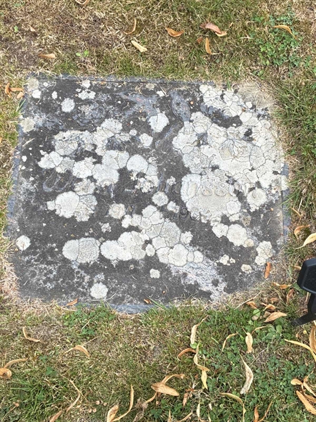 Grave number: 33 6   173