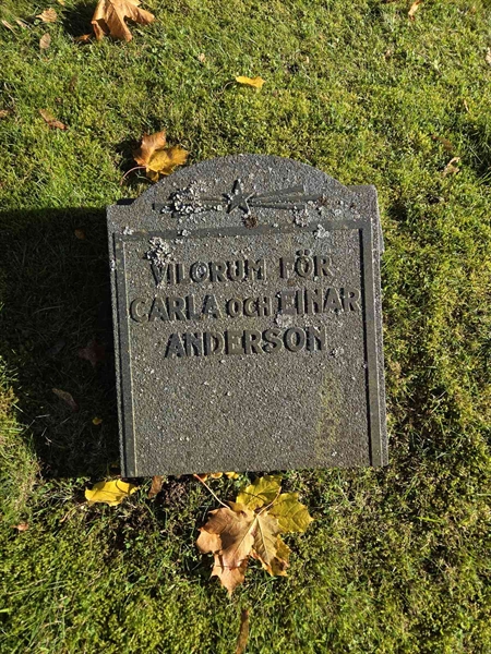 Grave number: Ö A C   867-868