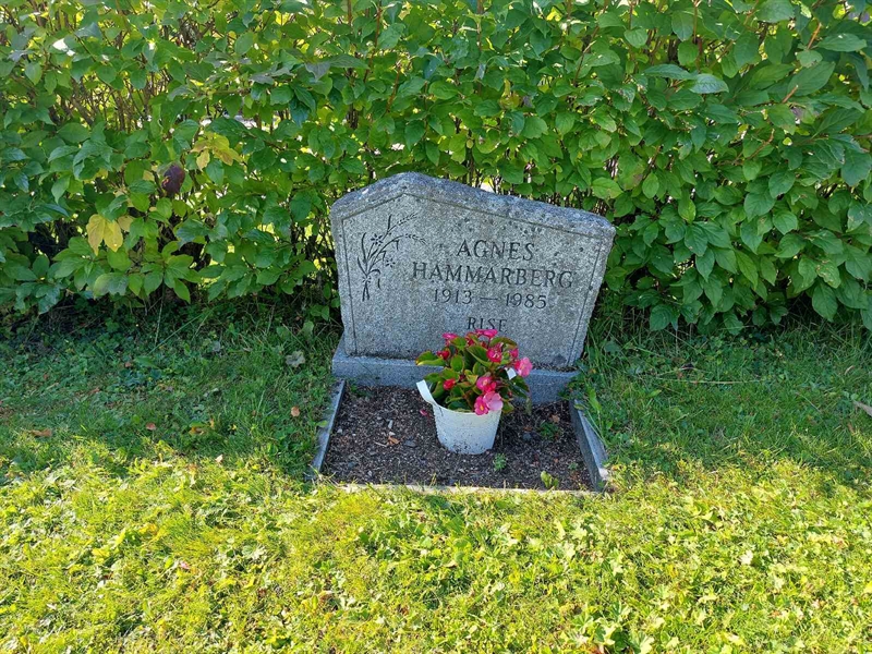 Grave number: K J   193